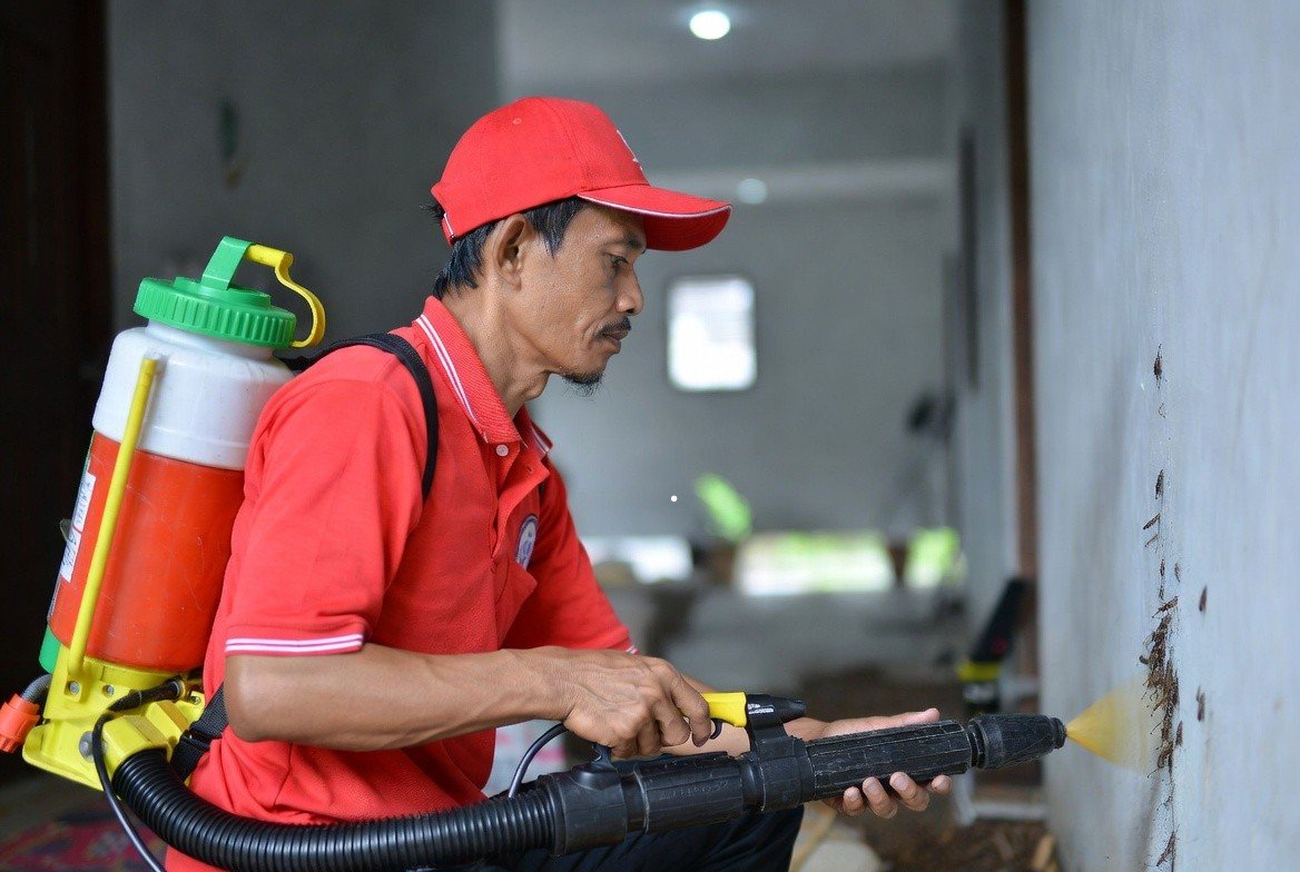 Jasa Pembasmi Rayap Harga Promo Hari Ini